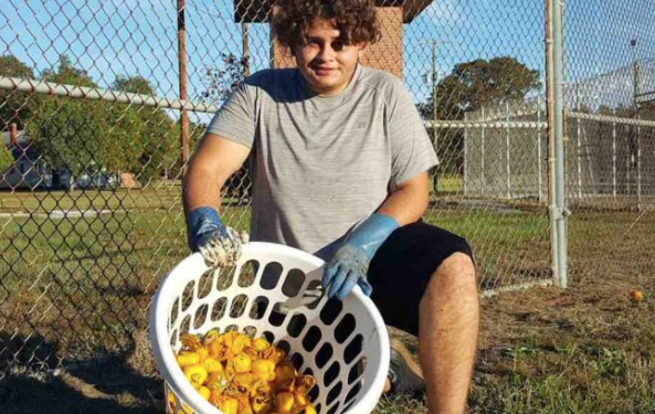 Person holding basket of apples 