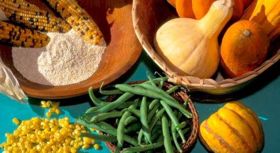 Foods, beans, maize, squash