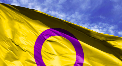 Intersex flag waving in a blue sky 