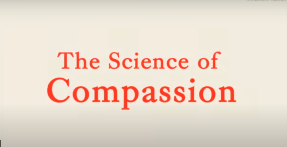 What is compassion?