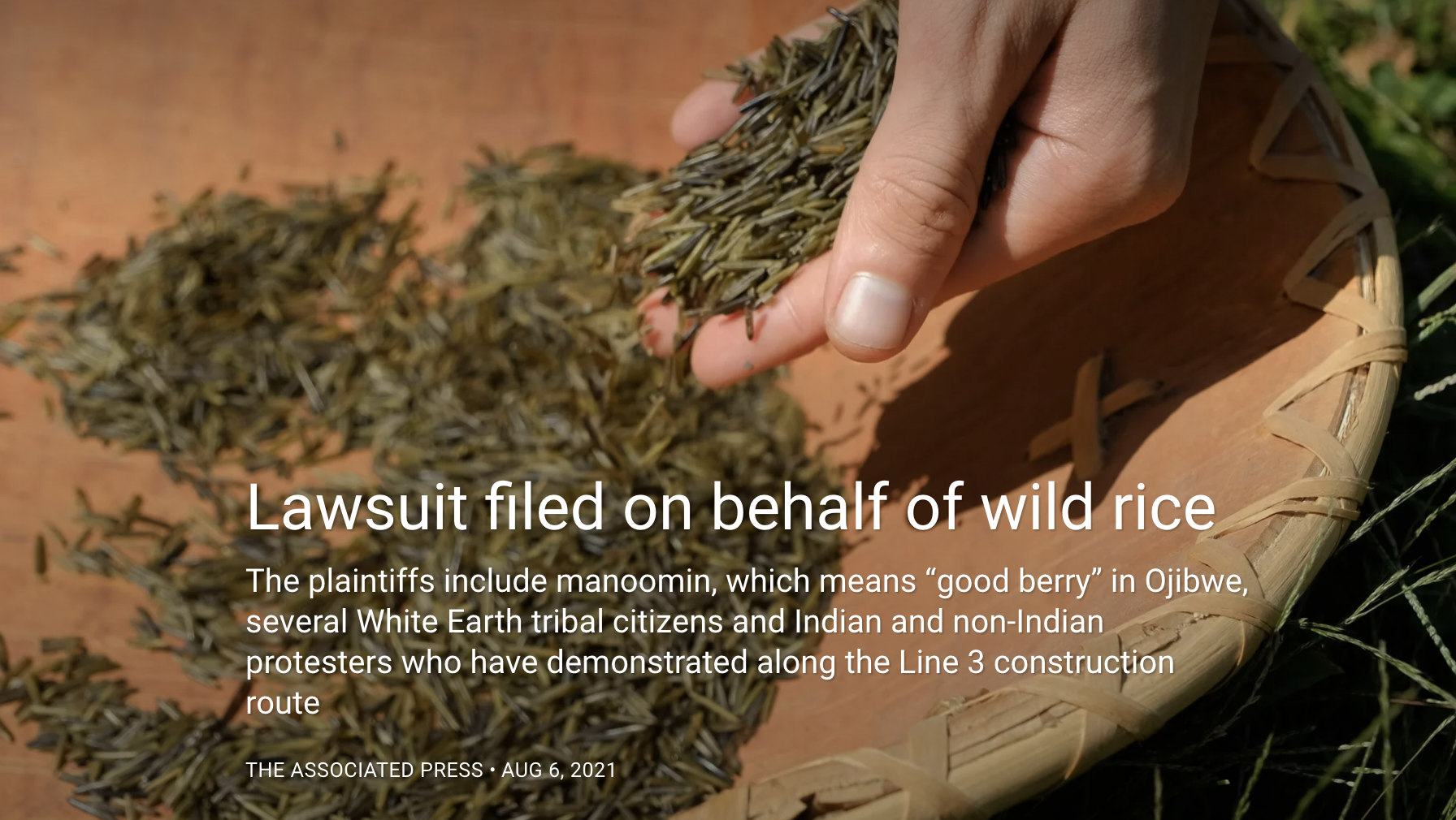 Lawsuit filed on behalf of wild rice