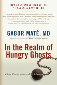 In the Realm of Hungry Ghosts book cover