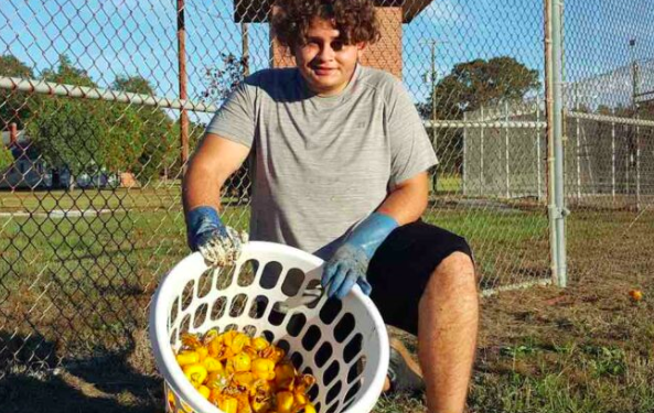 Person holding basket of apples 