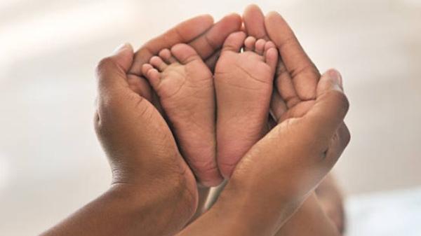 Paid Family Leave 2