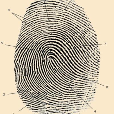 crime_blog_2